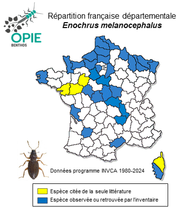 Carte de distribution de Enochrus melanocephalus (Olivier, 1792)