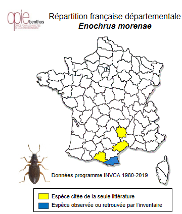 Carte de distribution de Enochrus morenae (Heyden, 1870)