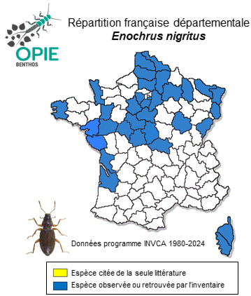 Carte de distribution de Enochrus nigritus (Sharp, 1872)