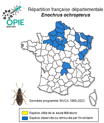 Carte de distribution de Enochrus ochropterus (Marsham, 1802)