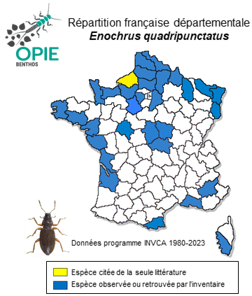 Carte de distribution de Enochrus quadripunctatus (Herbst, 1797)
