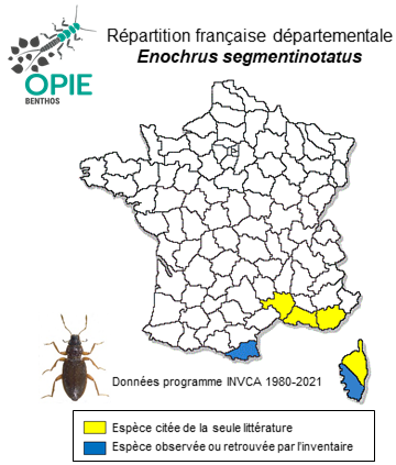 Carte de distribution de Enochrus segmentinotatus (Kuwert, 1888)