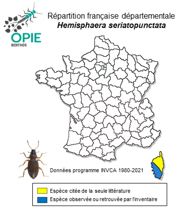 Carte de distribution de Hemisphaera seriatopunctata (Perris, 1874)