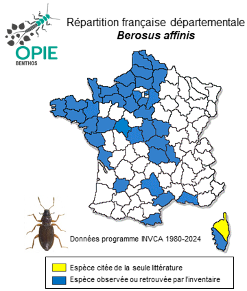 Carte de distribution de Berosus affinis Brullé, 1835