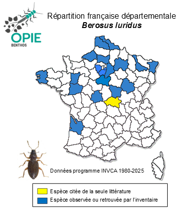 Carte de distribution de Berosus luridus (Linnaeus, 1761)