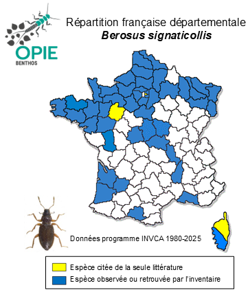 Carte de distribution de Berosus signaticollis Charpentier, 1825