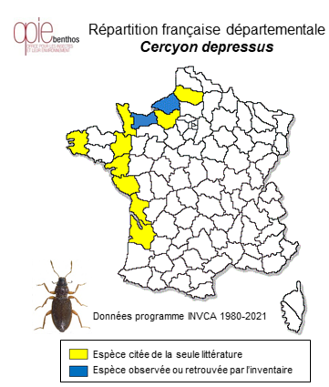 Carte de distribution de Cercyon depressus (Stephens, 1829)