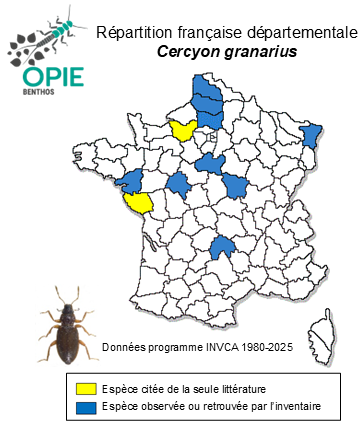 Carte de distribution de Cercyon granarius Erichson, 1837