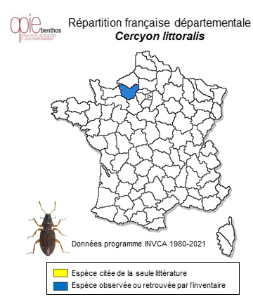Carte de distribution de Cercyon littoralis Gyllenhal, 1808