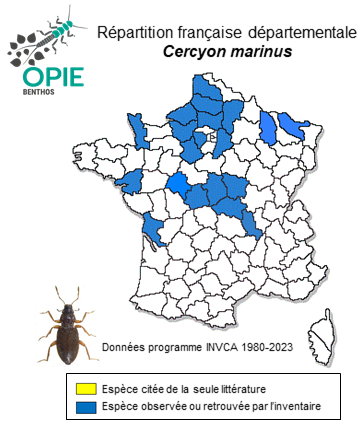 Carte de distribution de Cercyon marinus Thomson, 1853
