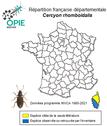 Carte de distribution de Cercyon rhomboidalis Perris, 1874