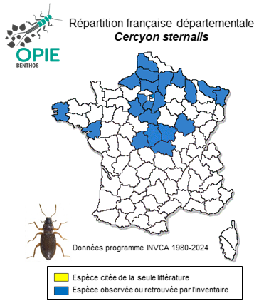 Carte de distribution de Cercyon sternalis (Sharp, 1918)