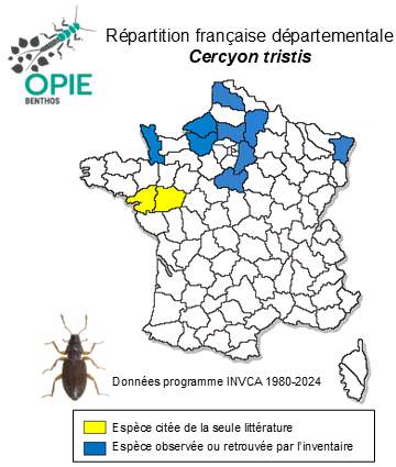Carte de distribution de Cercyon tristis (Illiger, 1801)