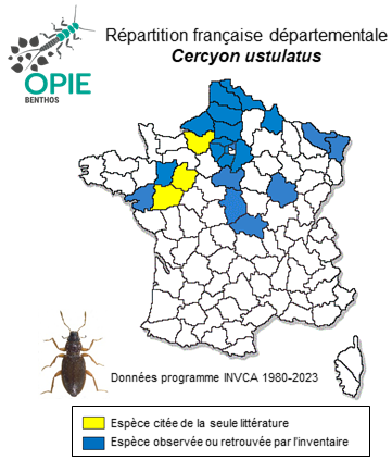 Carte de distribution de Cercyon ustulatus (Preyssler, 1790)