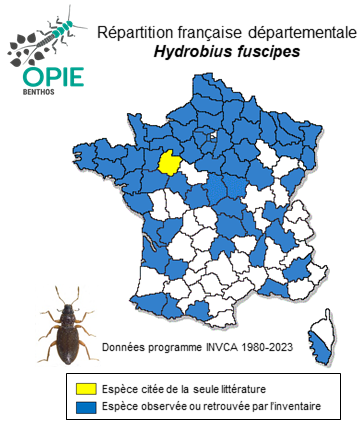 Carte de distribution de Hydrobius fuscipes (Linnaeus, 1758)