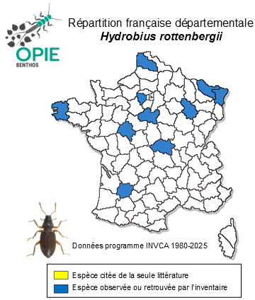 Carte de distribution de Hydrobius rottenbergii Gerhardt, 1872