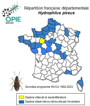 Carte de distribution de Hydrophilus piceus (Linnaeus, 1758)