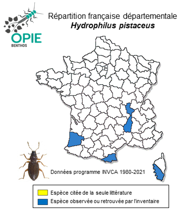 Carte de distribution de Hydrophilus pistaceus Laporte de Castelnau, 1840