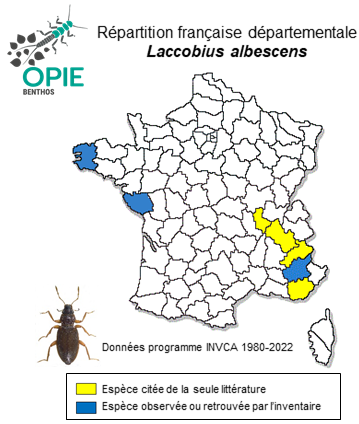 Carte de distribution de Laccobius albescens Rottenberg, 1874