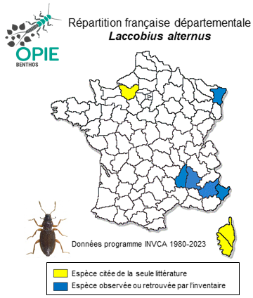 Carte de distribution de Laccobius alternus Motschulsky, 1855