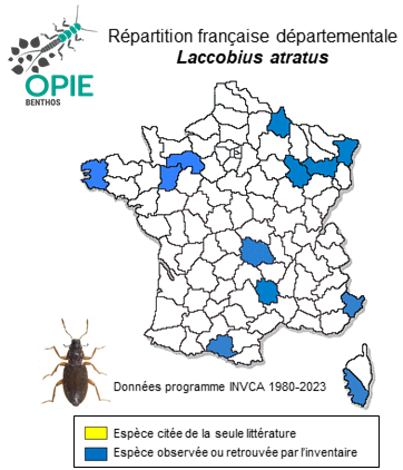 Carte de distribution de Laccobius atratus Rottenberg, 1874