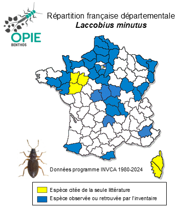 Carte de distribution de Laccobius minutus (Linnaeus, 1758)