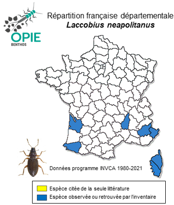Carte de distribution de Laccobius neapolitanus Rottenberg, 1874