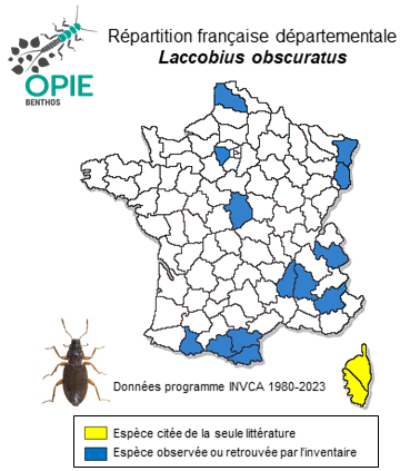 Carte de distribution de Laccobius obscuratus Rottenberg, 1874