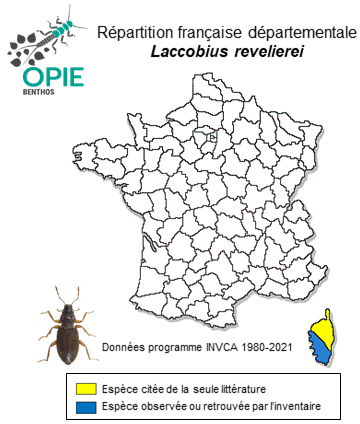 Carte de distribution de Laccobius revelierei