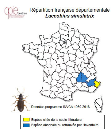 Carte de distribution de Laccobius simulatrix Orchymont, 1932