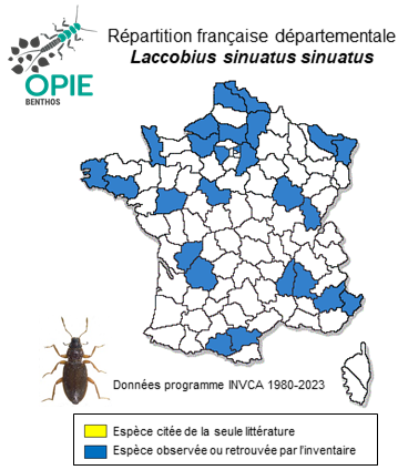 Carte de distribution de Laccobius sinuatus sinuatus Motschulsky, 1849