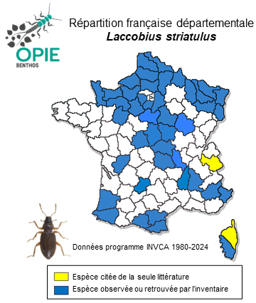 Carte de distribution de Laccobius striatulus (Fabricius, 1801)
