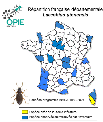 Carte de distribution de Laccobius ytenensis Sharp, 1910