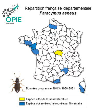Carte de distribution de Paracymus aeneus (Germar, 1824)