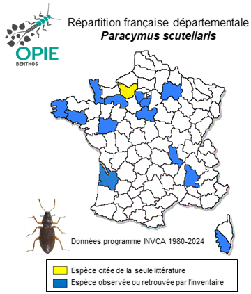 Carte de distribution de Paracymus scutellaris (Rosenhauer, 1856)