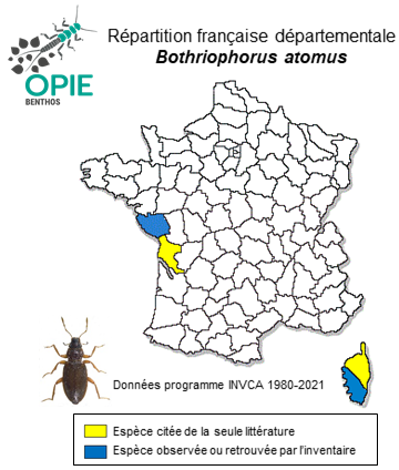 Carte de distribution de Bothriophorus atomus Mulsant & Rey, 1852