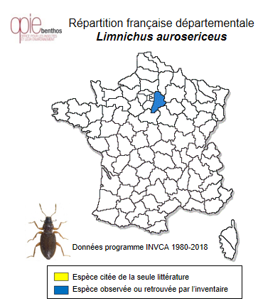 Carte de distribution de Limnichus aurosericeus Jacquelin du Val, 1857