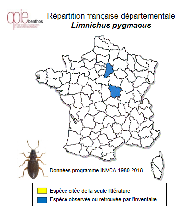 Carte de distribution de Limnichus pygmaeus (Sturm, 1807)