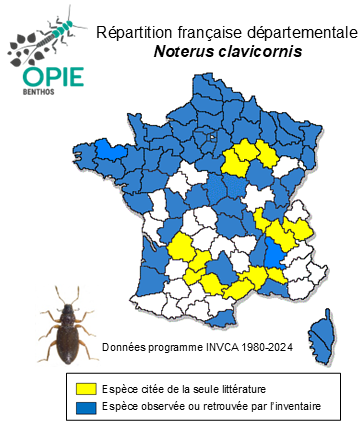 Carte de distribution de Noterus clavicornis (DeGeer, 1774)