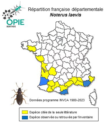 Carte de distribution de Noterus laevis Sturm, 1834