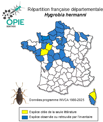 Carte de distribution de Hygrobia hermanni (Fabricius, 1775)