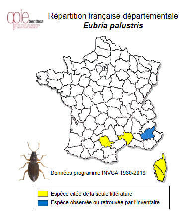 Carte de distribution de Eubria palustris (Germar, 1818)