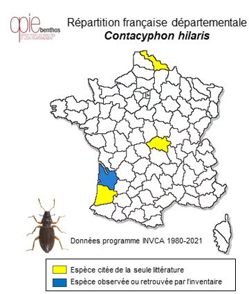 Carte de distribution de Contacyphon hilaris Nyholm, 1944