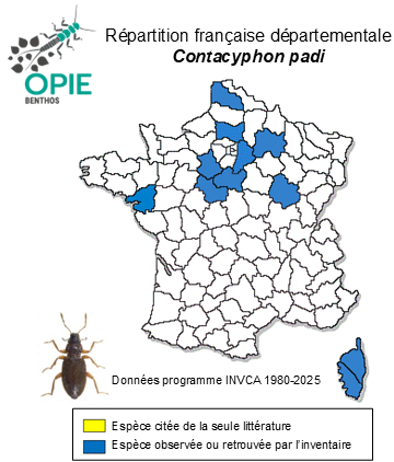 Carte de distribution de Contacyphon padi (Linnaeus, 1758)