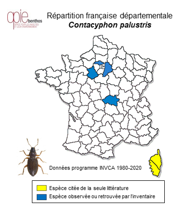 Carte de distribution de Contacyphon palustris (C. G. Thomson, 1855)