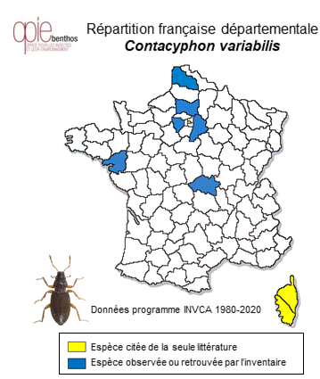 Carte de distribution de Contacyphon variabilis (Thunberg, 1787)
