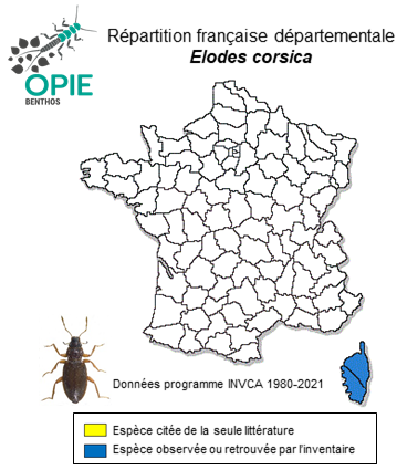 Carte de distribution de Elodes corsica Pic, 1898