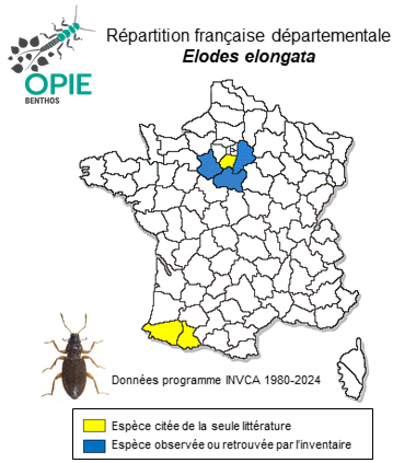 Carte de distribution de Elodes elongata Tournier, 1868
