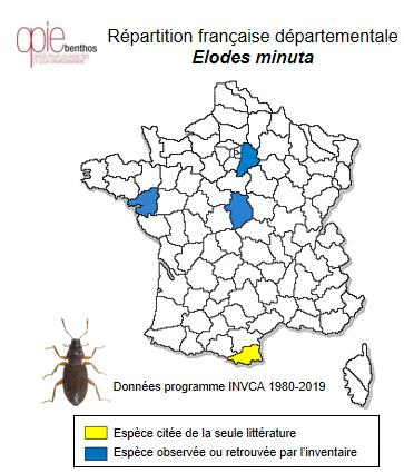 Carte de distribution de Elodes minuta (Linné, 1767)