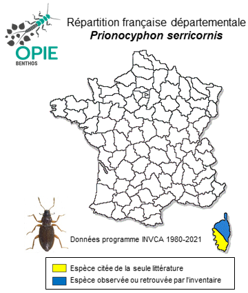 Carte de distribution de Prionocyphon serricornis (P.W.J.Müller, 1821)